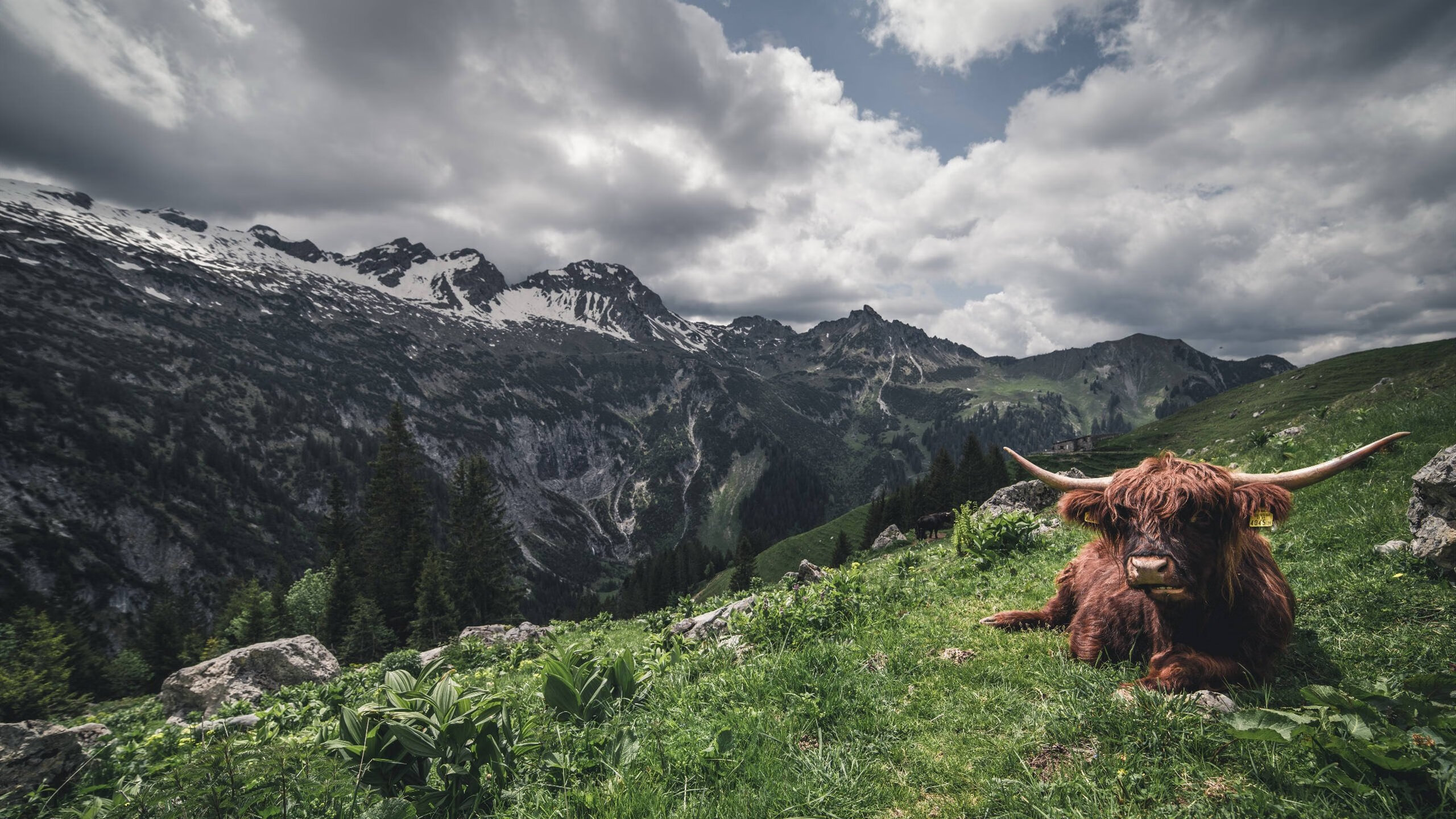 爱游戏 电竞-“北京体育场升级迎宾体验，改善观赛环境”，北京体育场馆