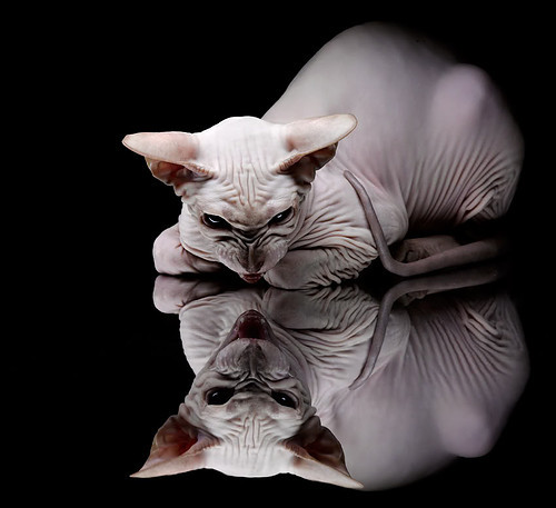 《《守望先锋》新地图“未来城市”盛大上线》，守望先锋全新地图