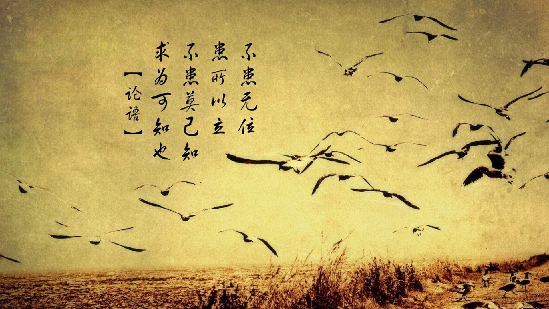 《每日邮报》:荷兰女足在预选赛中表现出色,荷兰女足官网