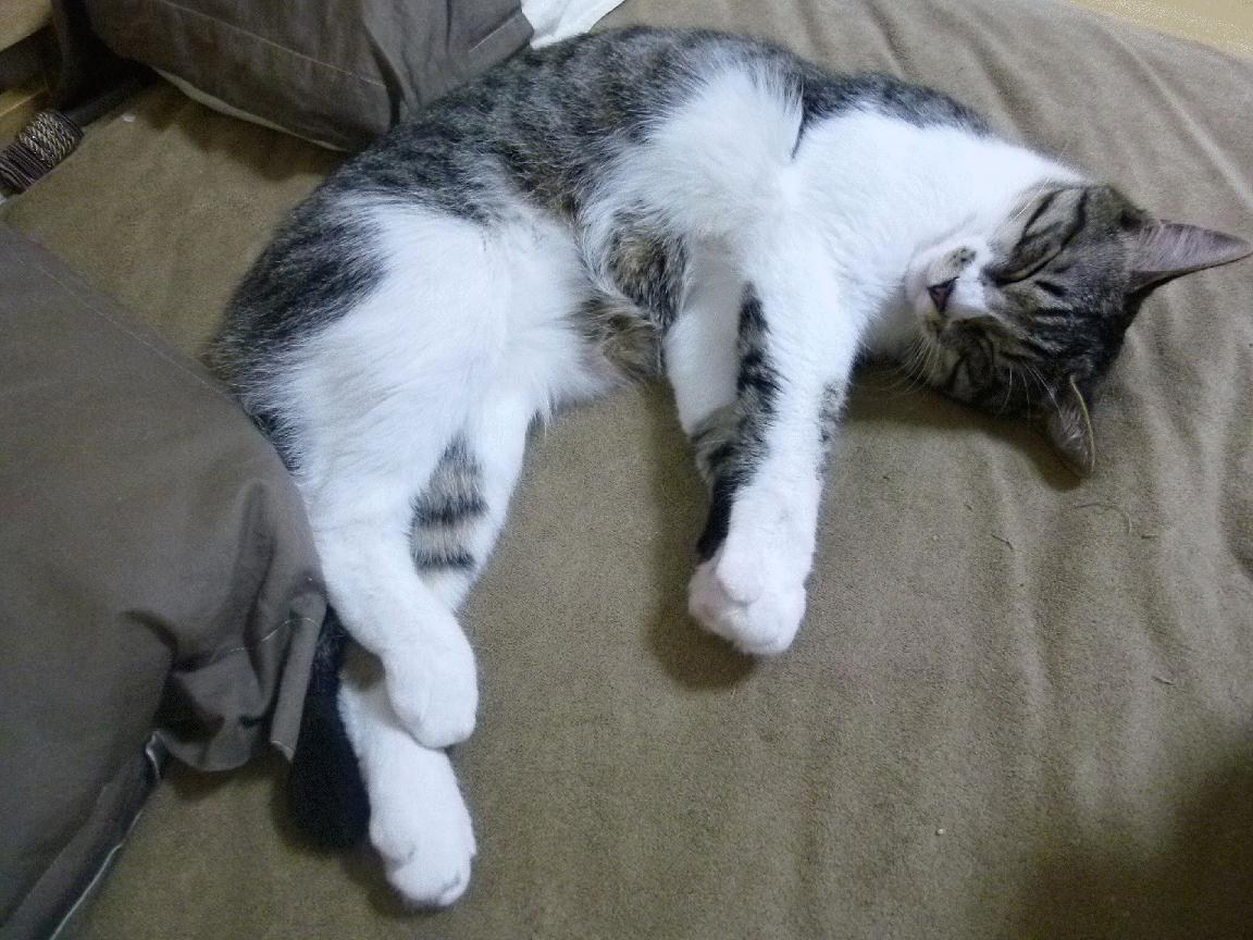 《电竞培训中心蓬勃发展,培养新一代选手》,电竞培训营