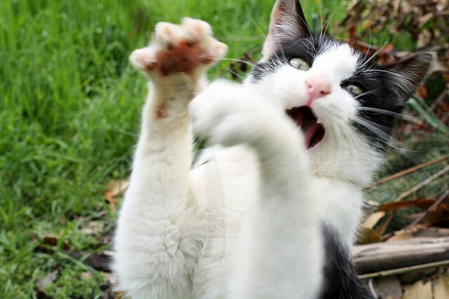 AYX体育官网-【智能传感器让球飞得更快】极限速度的背后科技支撑，智能传感器实现方式