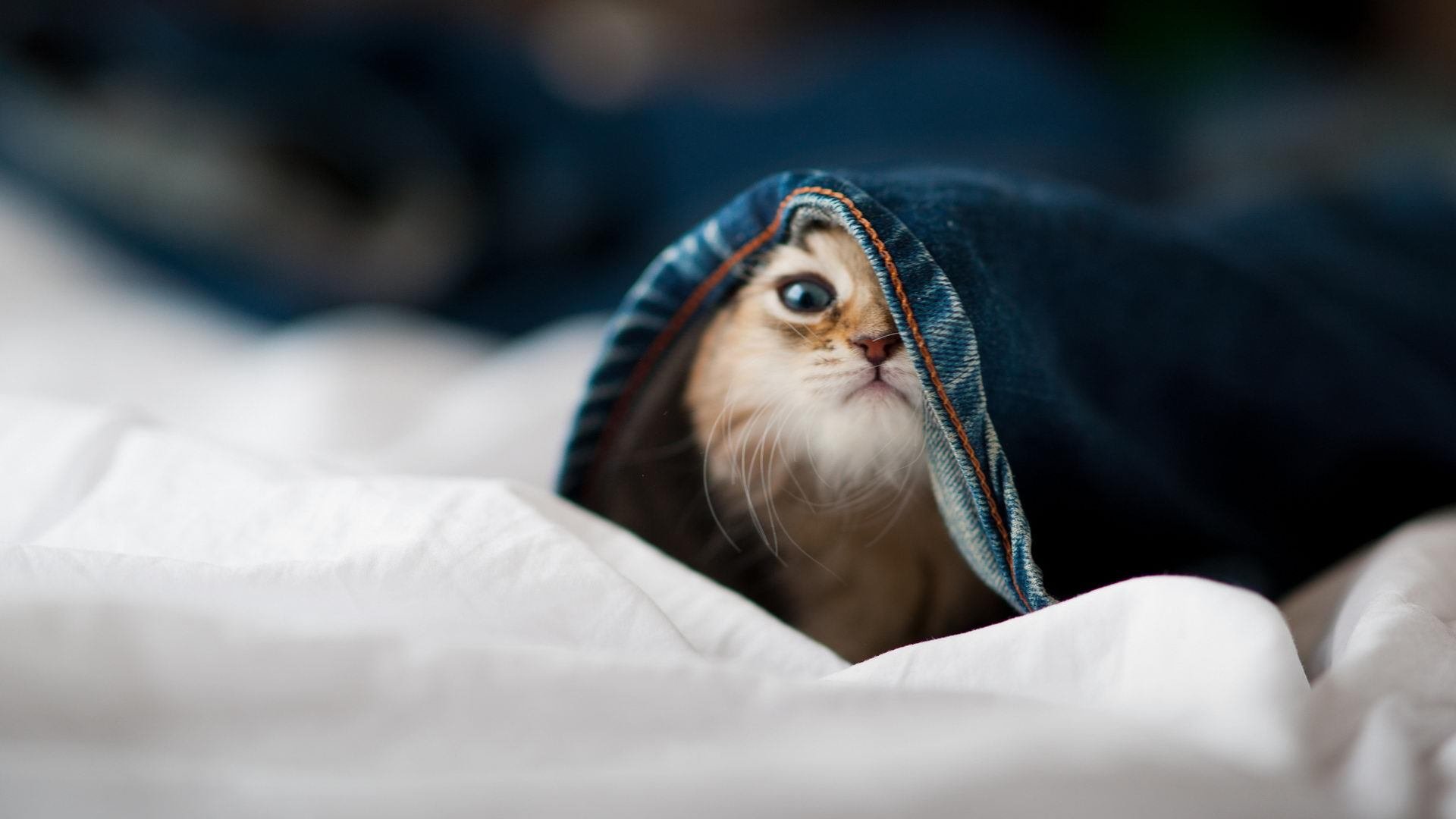 极限漂移：高速下的纺丝飞舞技艺，纺丝飘丝产生的原因