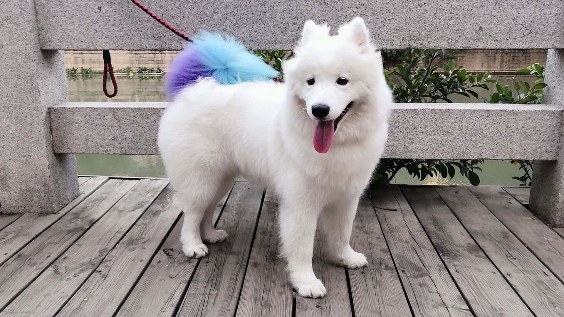 活动周边：运动员签名照与台球器材热销，运动员个性签名