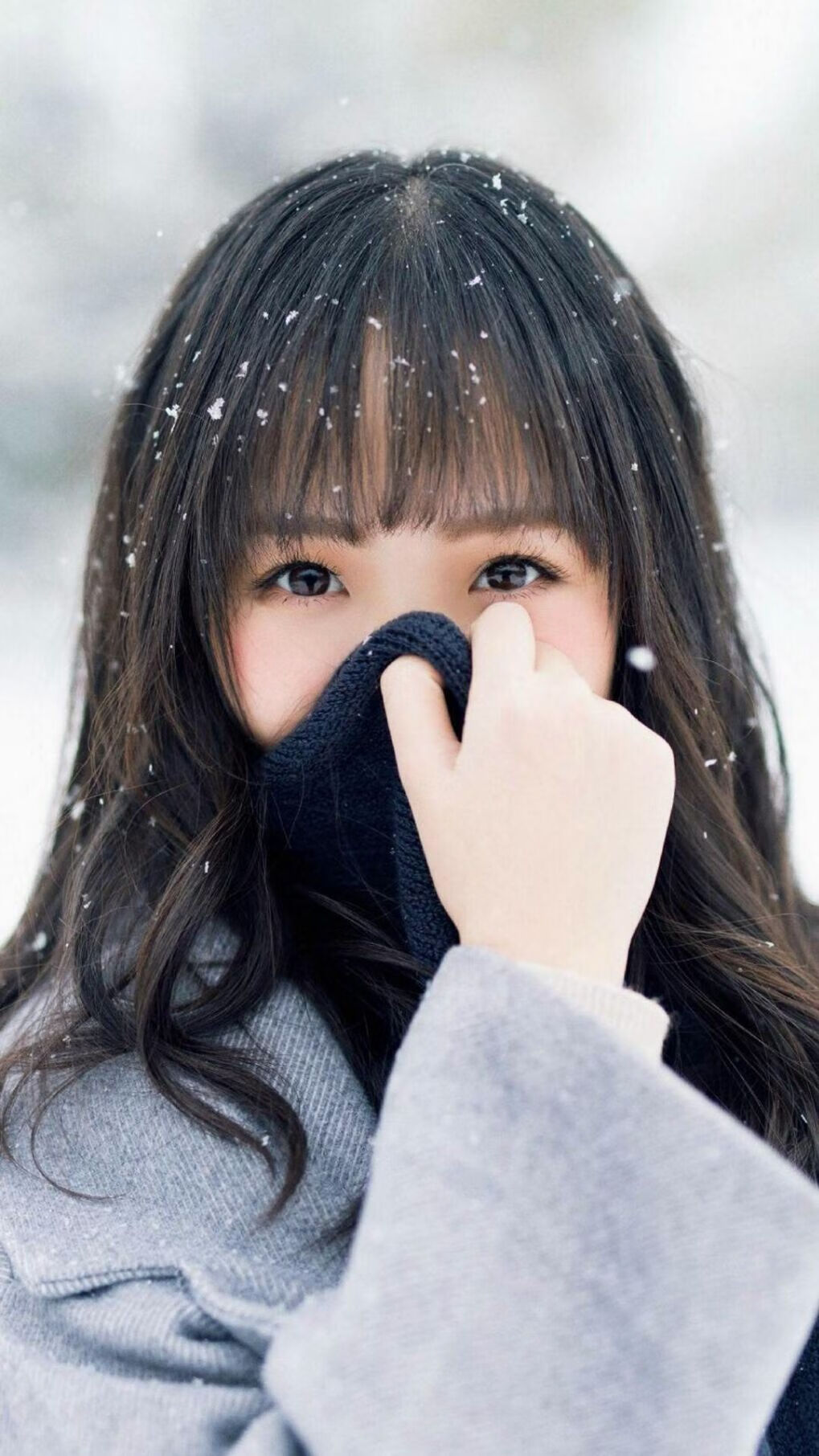 眼光毒辣：专家们预测季后赛的“黑马队伍”