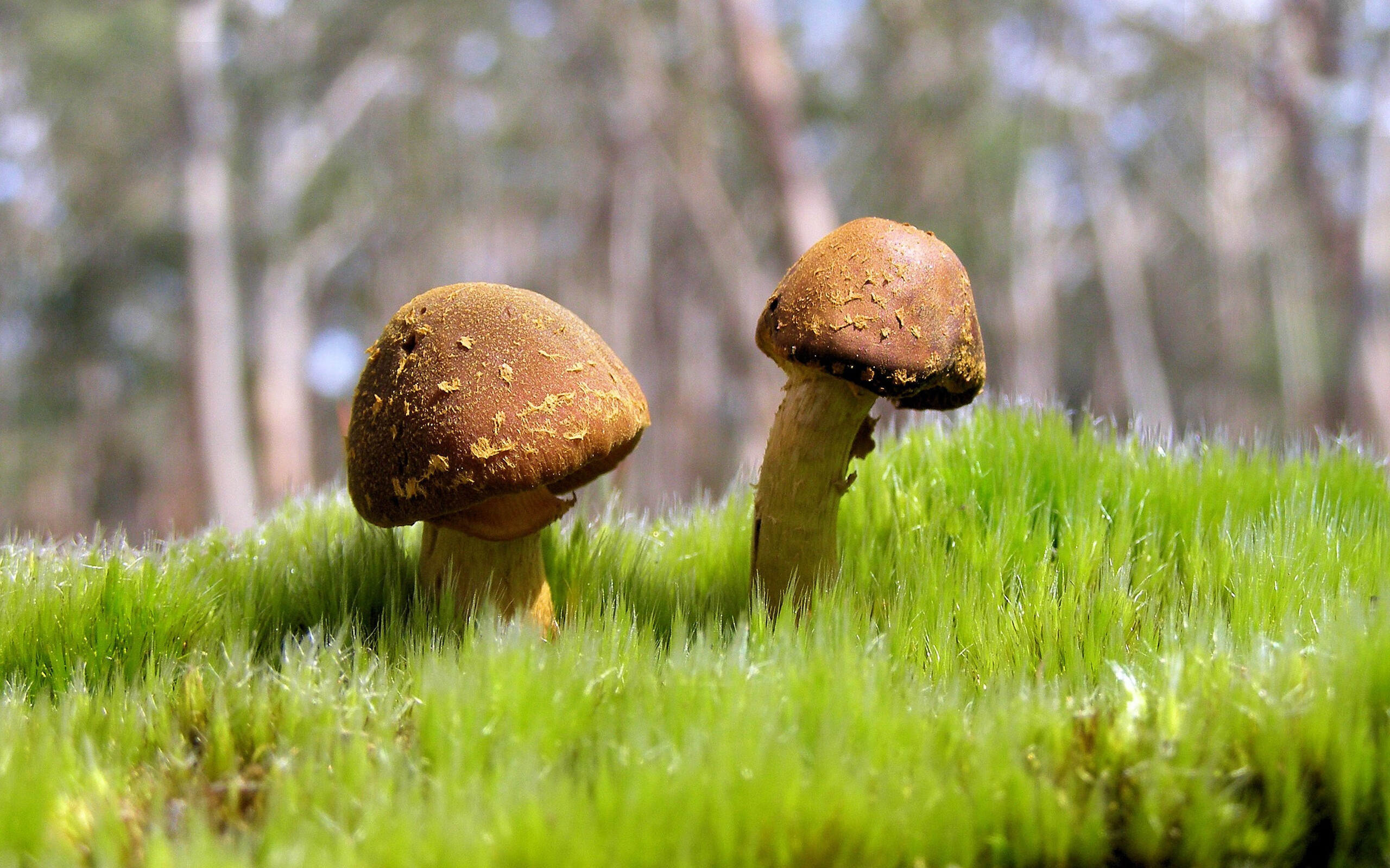 爱游戏平台-花样滑冰训练基地开工建设，将成亚洲最大冰上中心，2022花样滑冰场馆