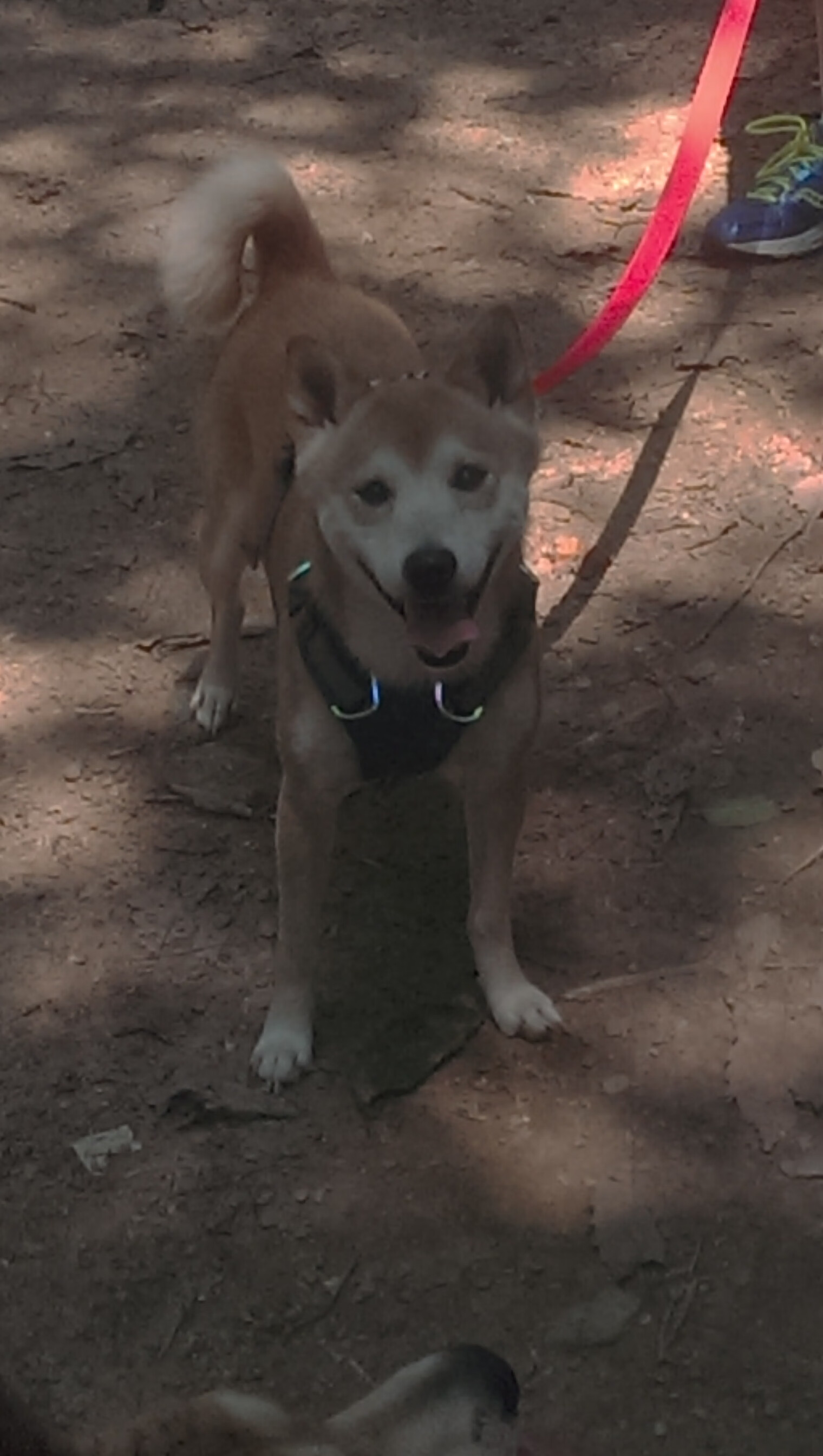 AYX SPORTS-青少年“全国青训营”在南昌正式启动，助推青训体系升级，青少年训练竞赛中心