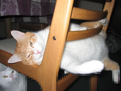 AYX体育官网-利兹联边路突破频繁，白玫瑰军团冲击欧战，利兹联玫瑰德比