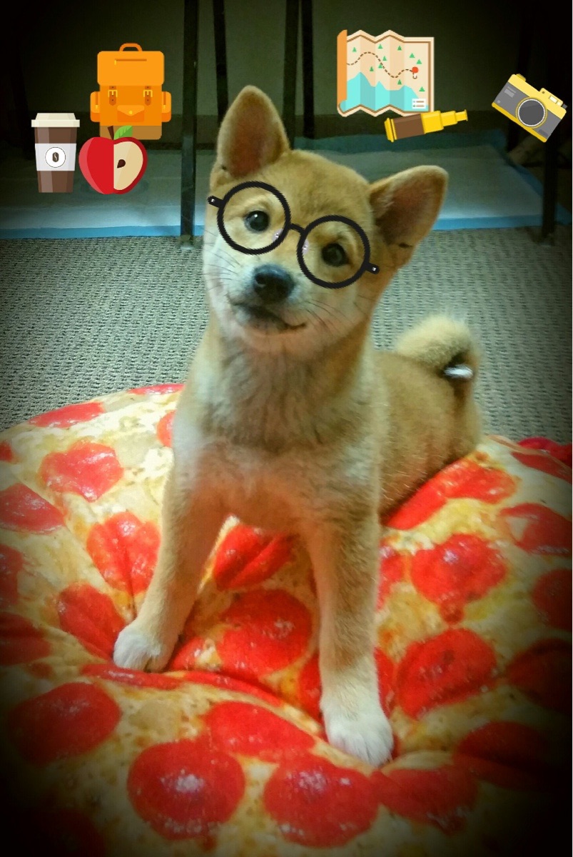 AYX体育官网-国内职业足球联赛赛程密集，球队备战准备充足，职业足球赛事