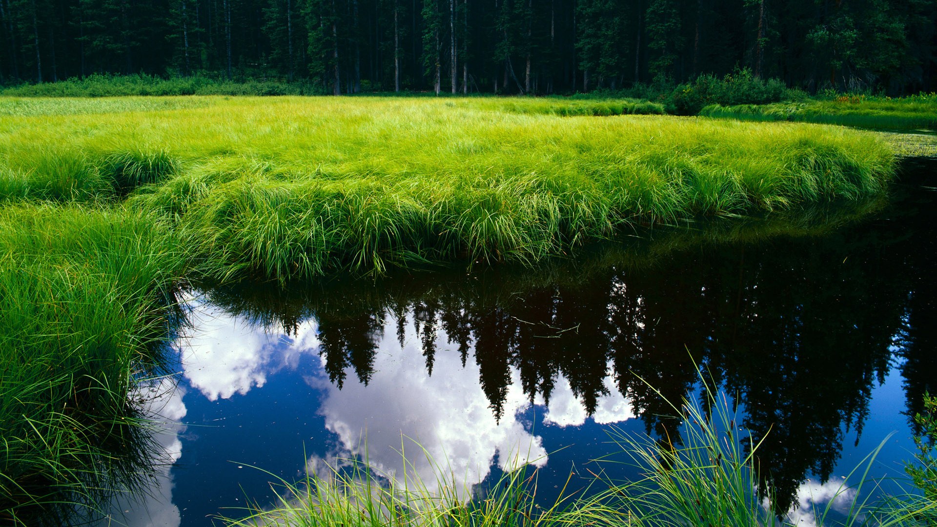 AYX官网-塞内加尔马术协会举办青少年马术交流活动，促进国际友谊。，塞内加尔运动员