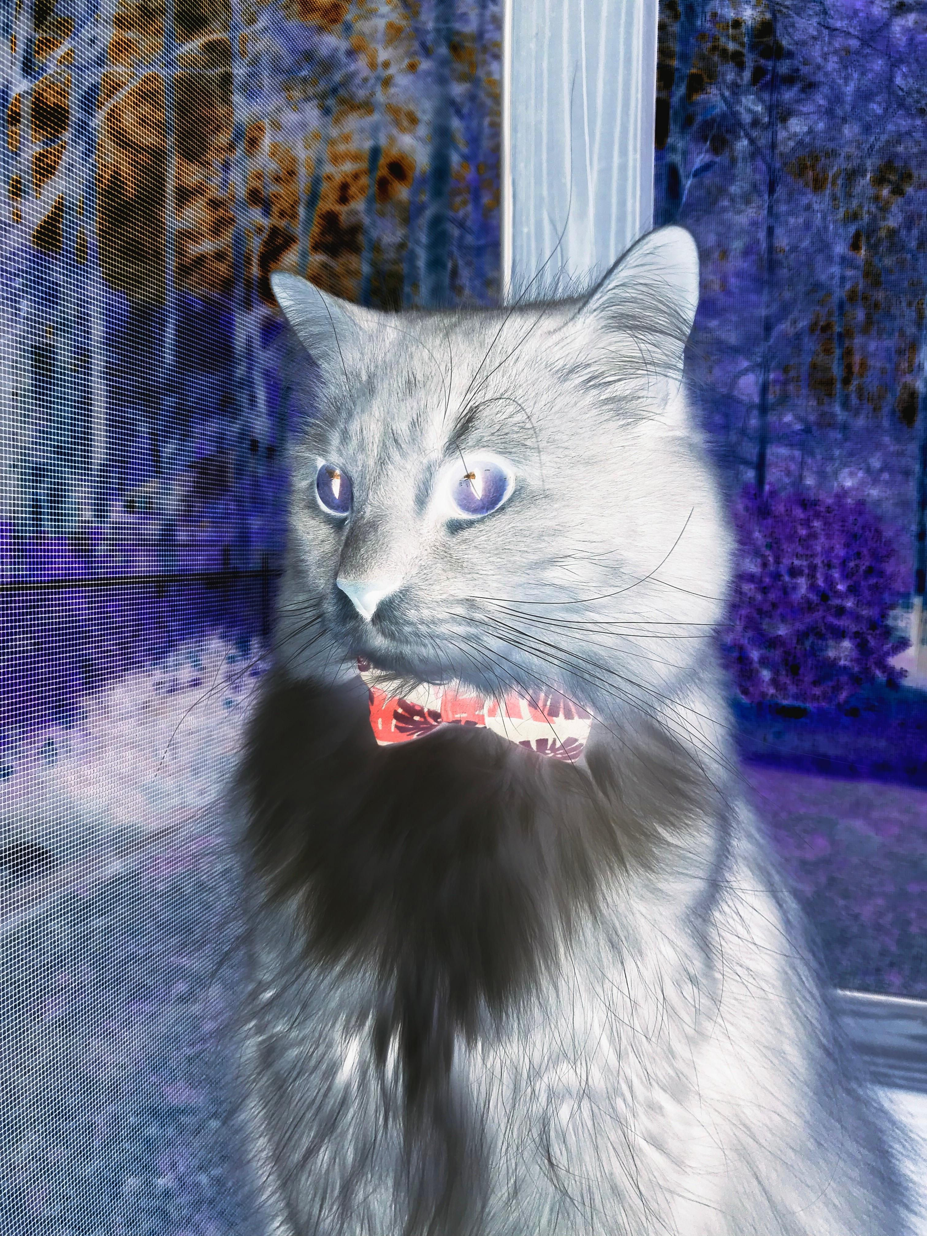 爱游戏app下载-蓝军客场小胜诺里奇，保住前四位置，蓝军客场小胜诺里奇,保住前四位置了吗