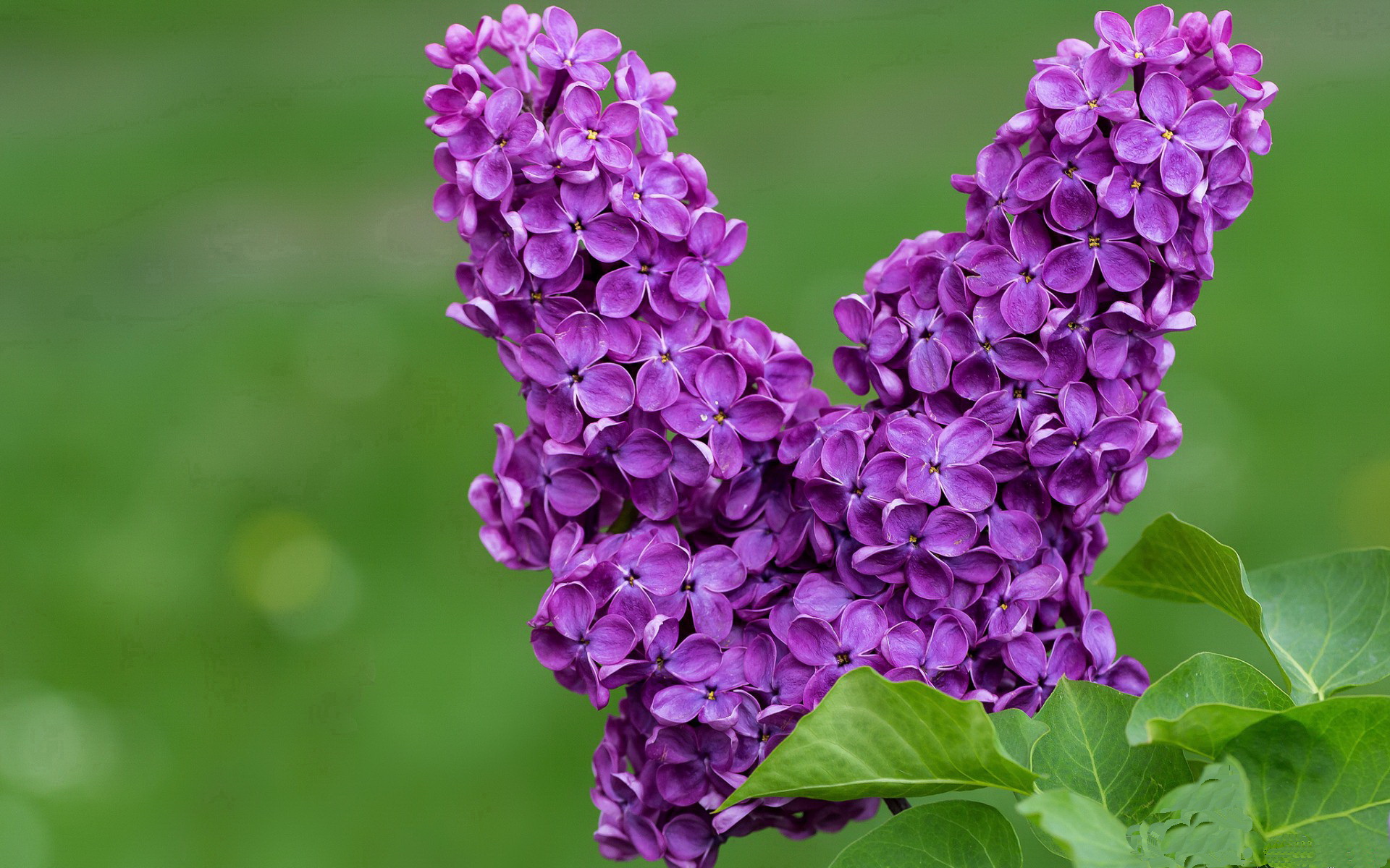 -韩国手游电竞快速崛起，韩国电竞很强吗