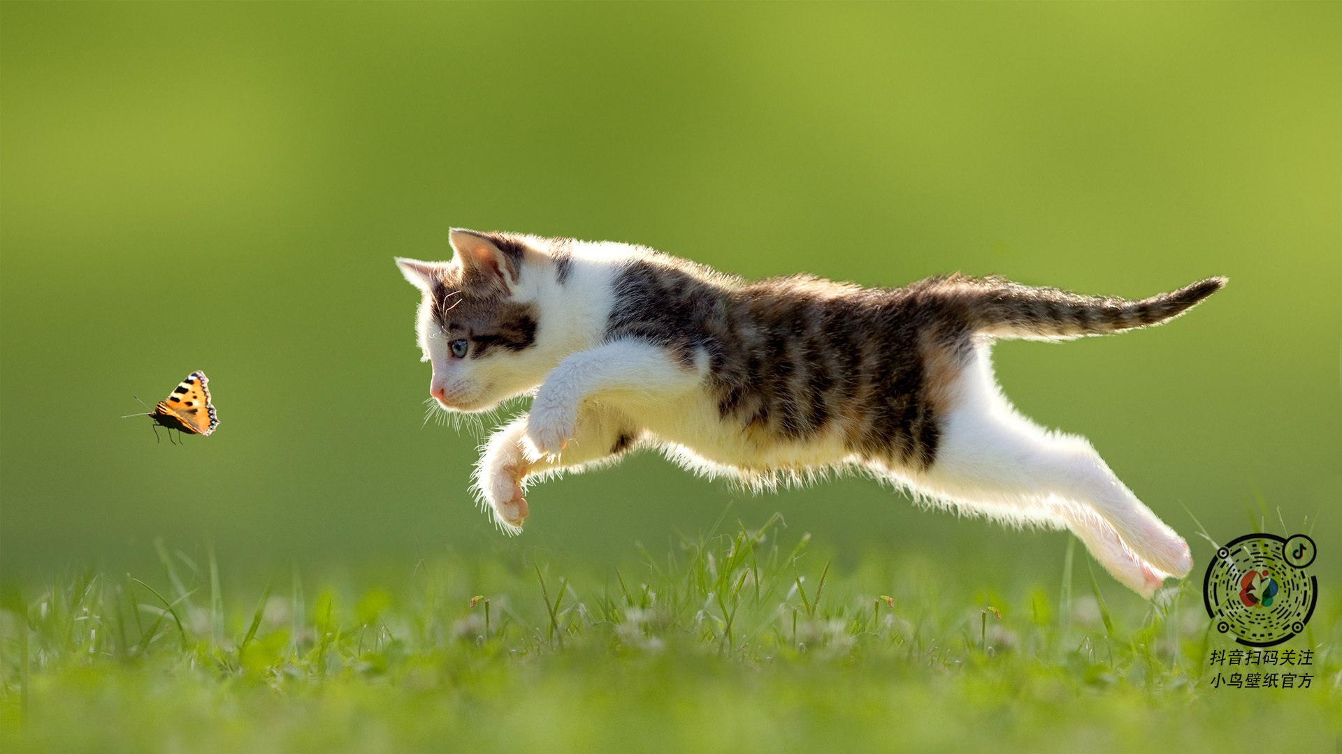 -青训体系国际交流合作现状，中国青训体系现状