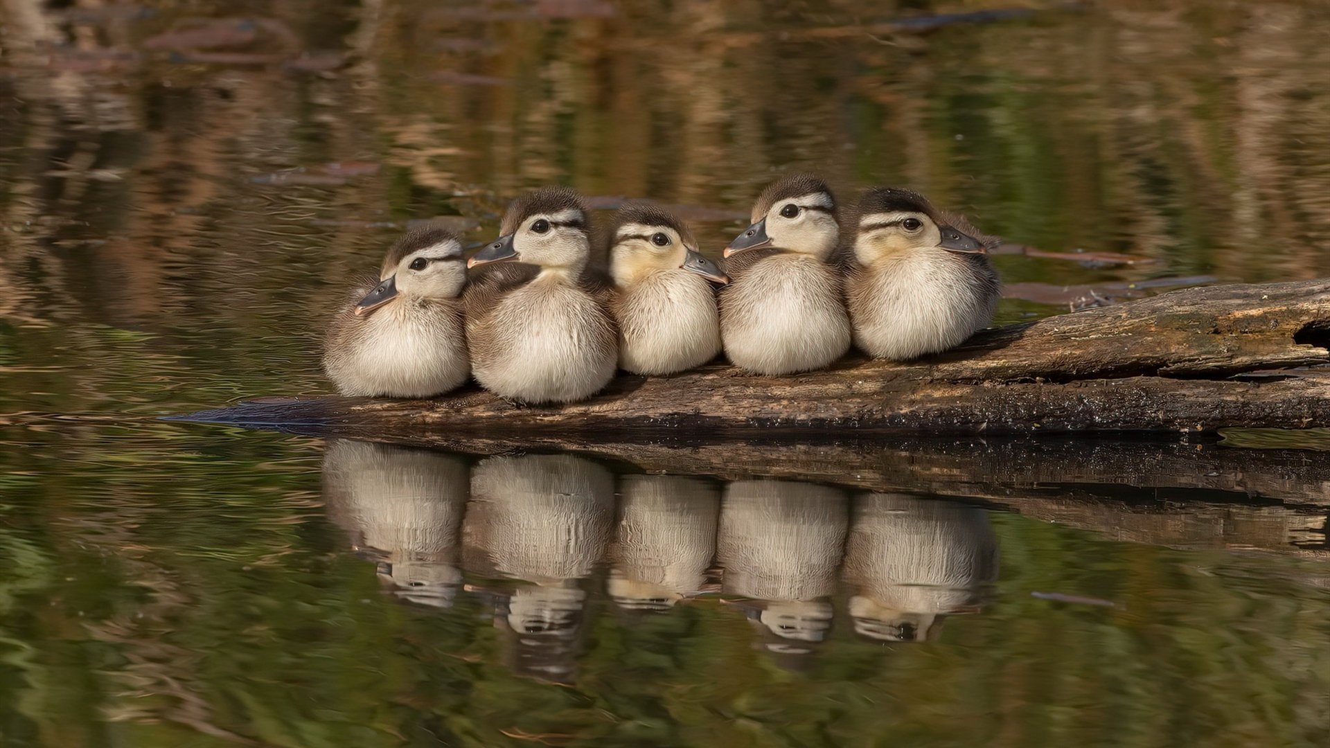 马赛连续三场比赛不胜,危机重重,马赛首发