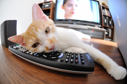 中国足球边路配合打法模型,足球边路进攻的战术配合基本方法