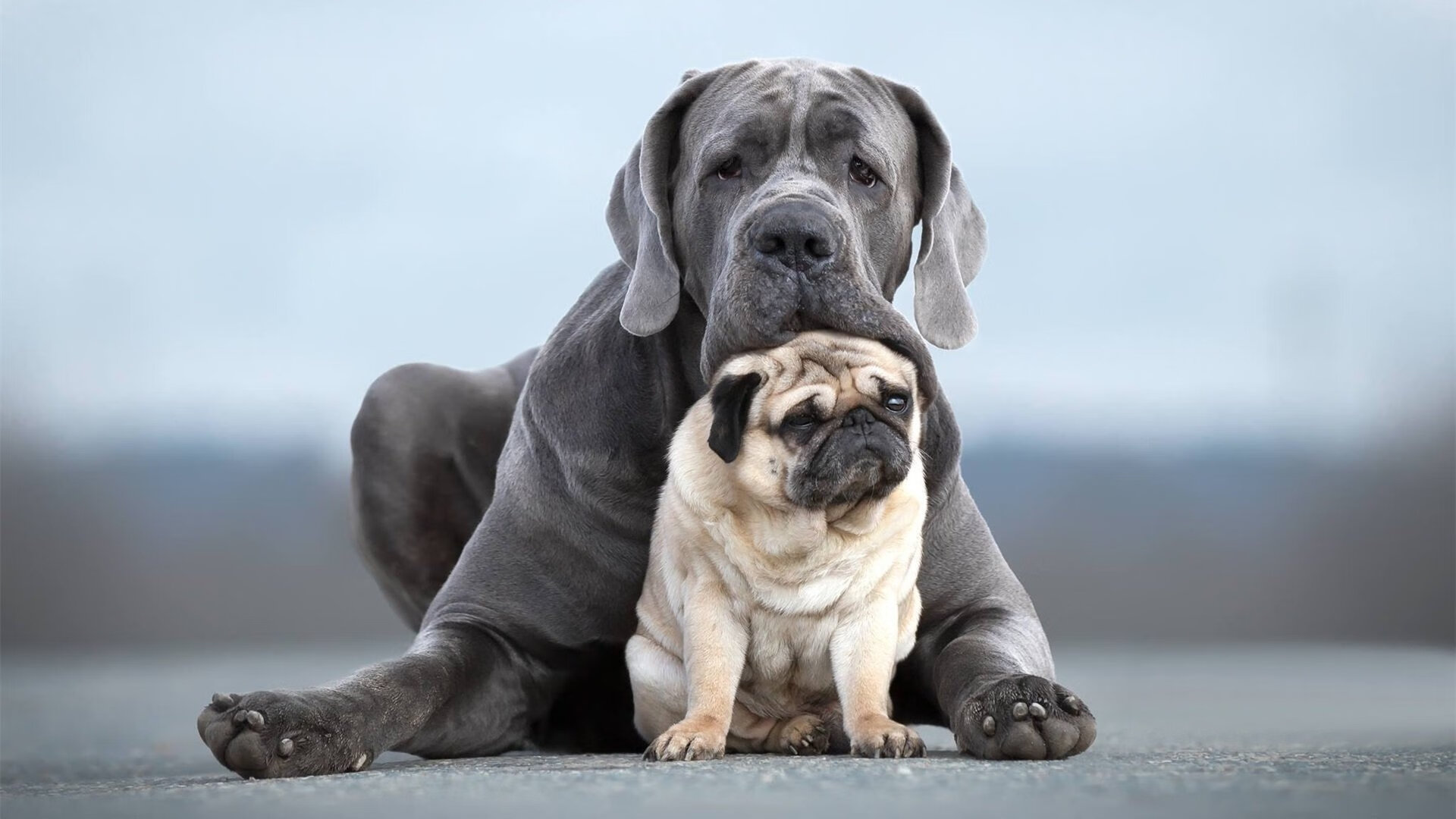 中超年度比赛对抗强度变化趋势报告,中超身体对抗