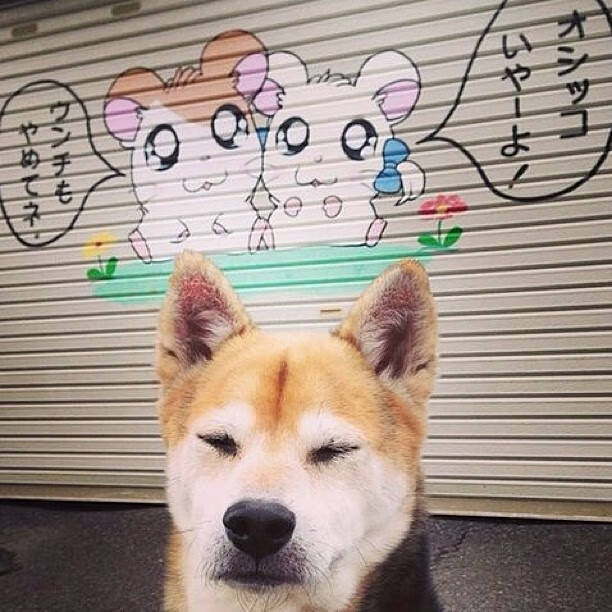 爱游戏登录入口-俱乐部改革：青训、青军训练体系的深度变革，俱乐部青训几岁要到俱乐部