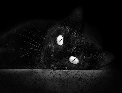 西甲新星崛起:年轻球员成为豪门争夺焦点,西甲球队球员