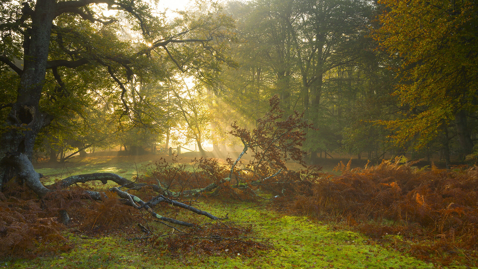 体育新闻中心协办数字体育传播场景应用测试周,体育赛事新媒体传播