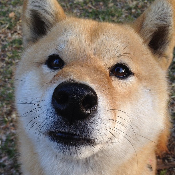 欧洲杯战场:战术智商与球员发挥的极致竞技,欧洲杯比赛分析推荐