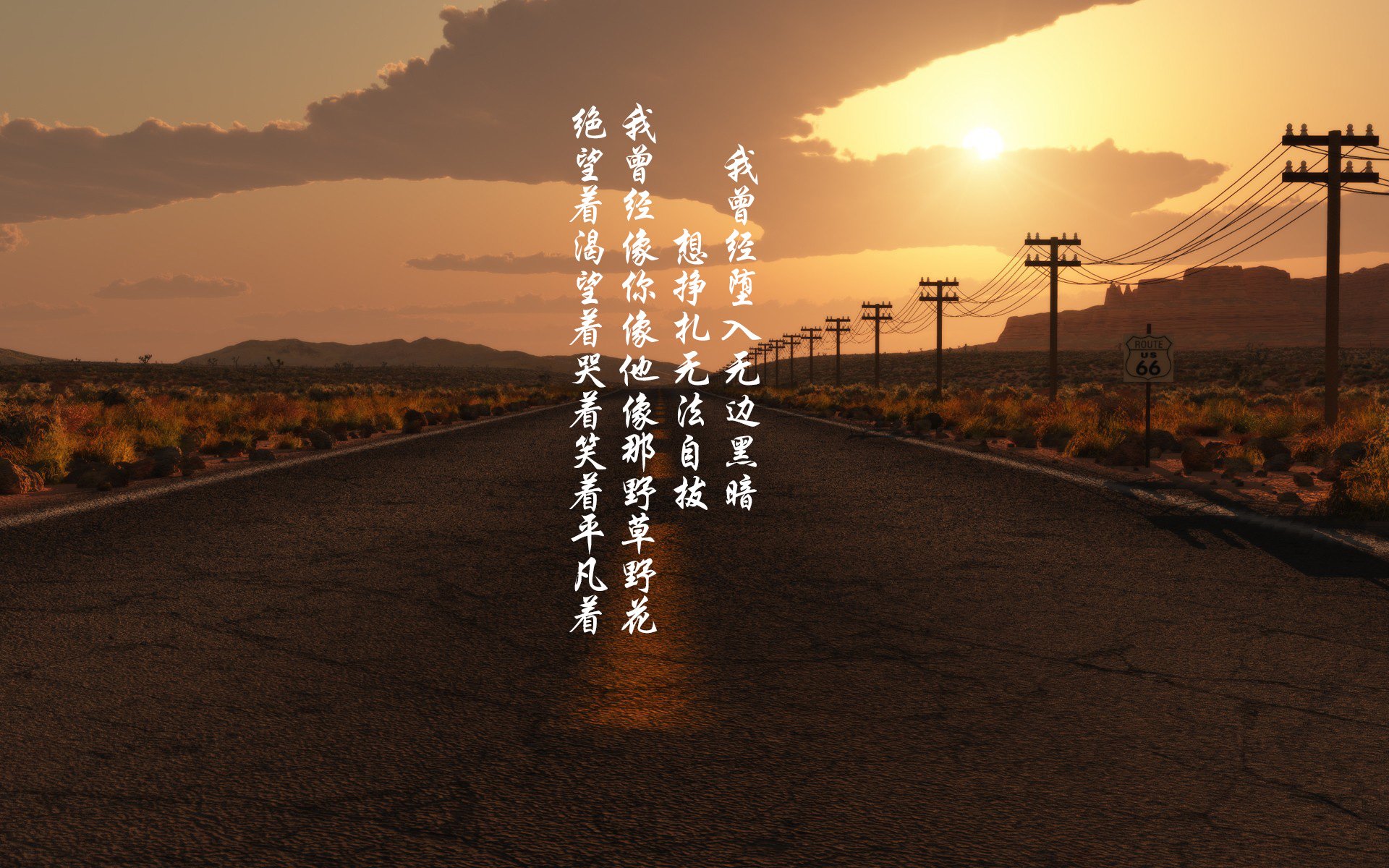 美洲杯爆发瞬间:英雄时刻成就奇迹,美洲杯报道