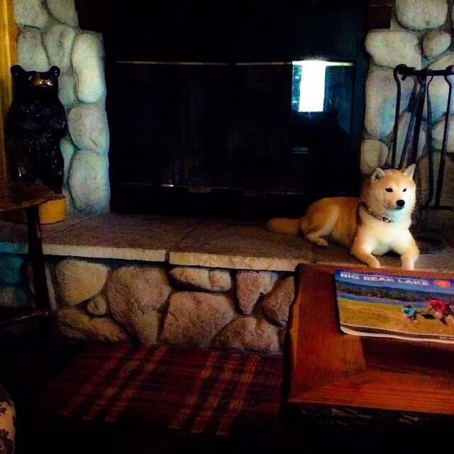 AYX官网-自由泳中距离比利时节奏掌控好，自由泳长距离的视频