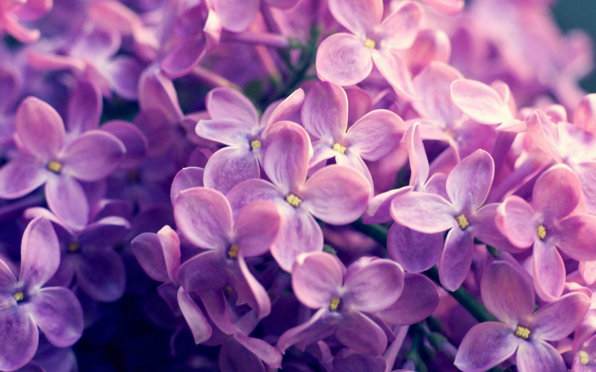 爱游戏娱乐-西班牙女足首次捧起欧冠奖杯，西班牙女足厉害吗